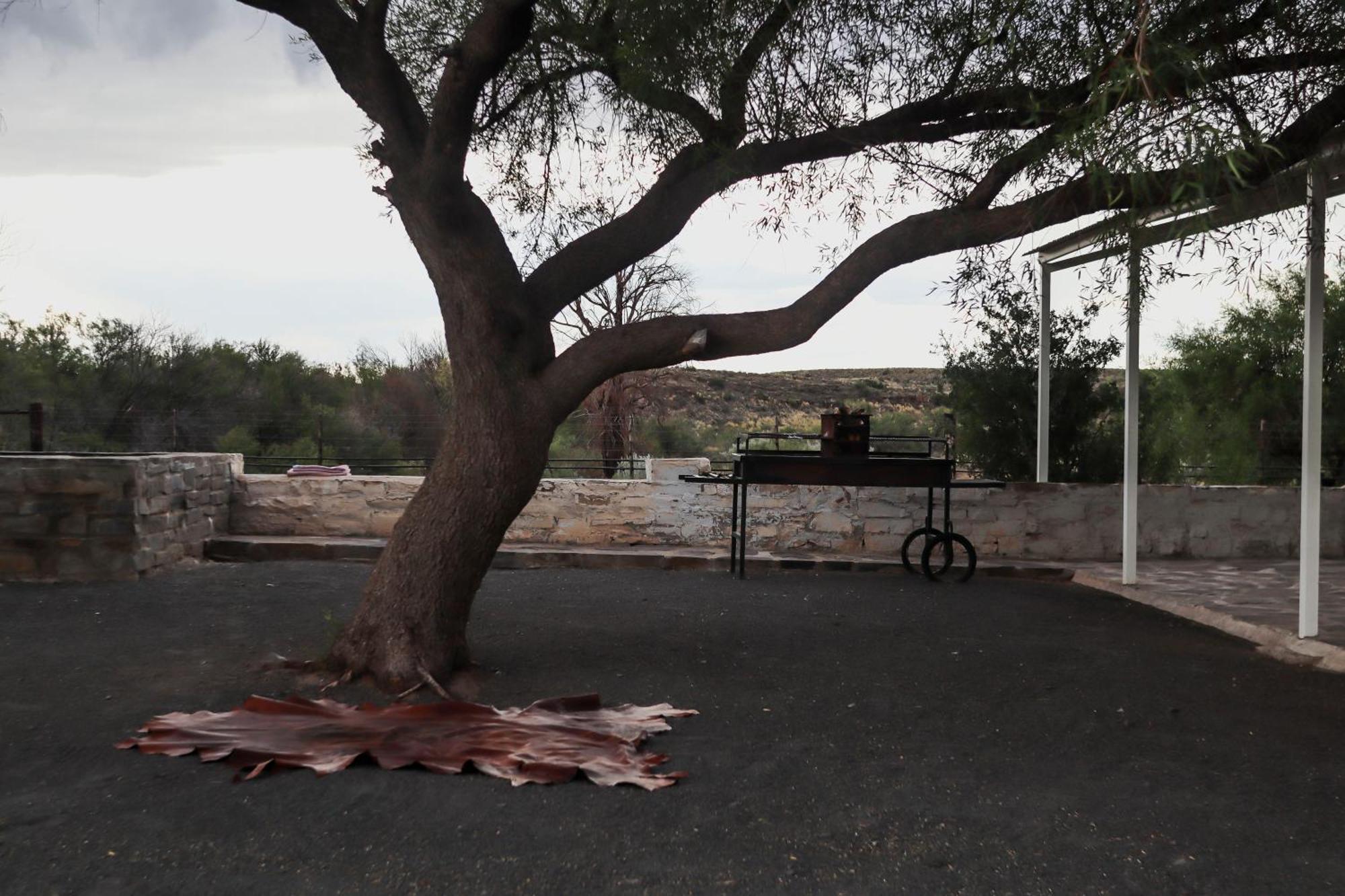 Grootfontein Farm House ボーフォート・ウェスト エクステリア 写真